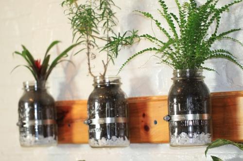 Cómo construir un mini-jardín con frascos de vidrio en 10 pasos