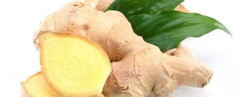jengibre-la-raiz-de-la-salud_jtqns