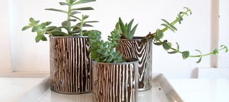 recicla-tus-macetas-y-tus-utensilios-de-cocina_4uvw6