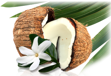 Tamanu, Noni y Monoï, las plantas de Tahití para la salud y la belleza