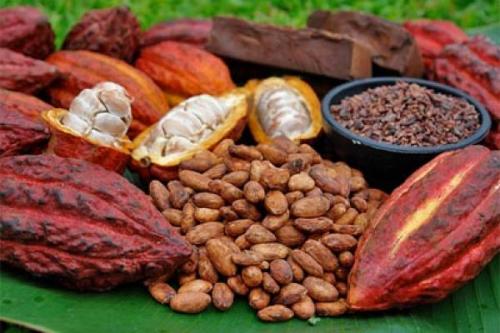 Esbelta y feliz gracias al cacao