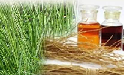 Vetiver: Una planta que ayuda a los músculos y la circulación